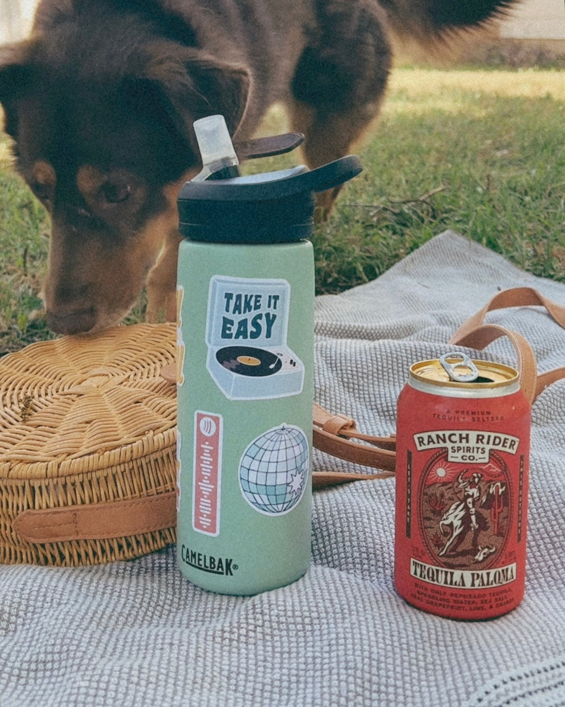 Camelbak water bottle with 3 stickers on it on a picnic blanket next to a dog, a canned cocktail, and a wicker purse