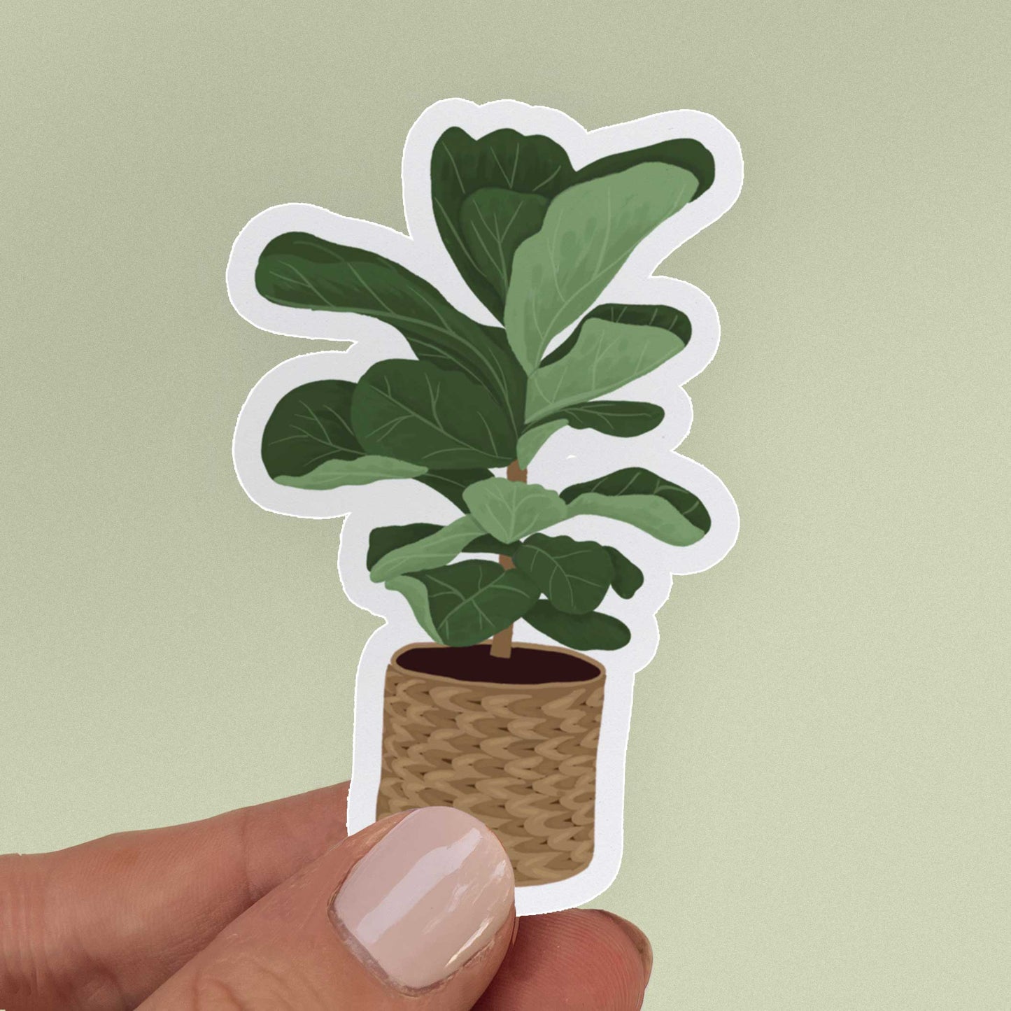Fiddle Leaf Fig Sticker.