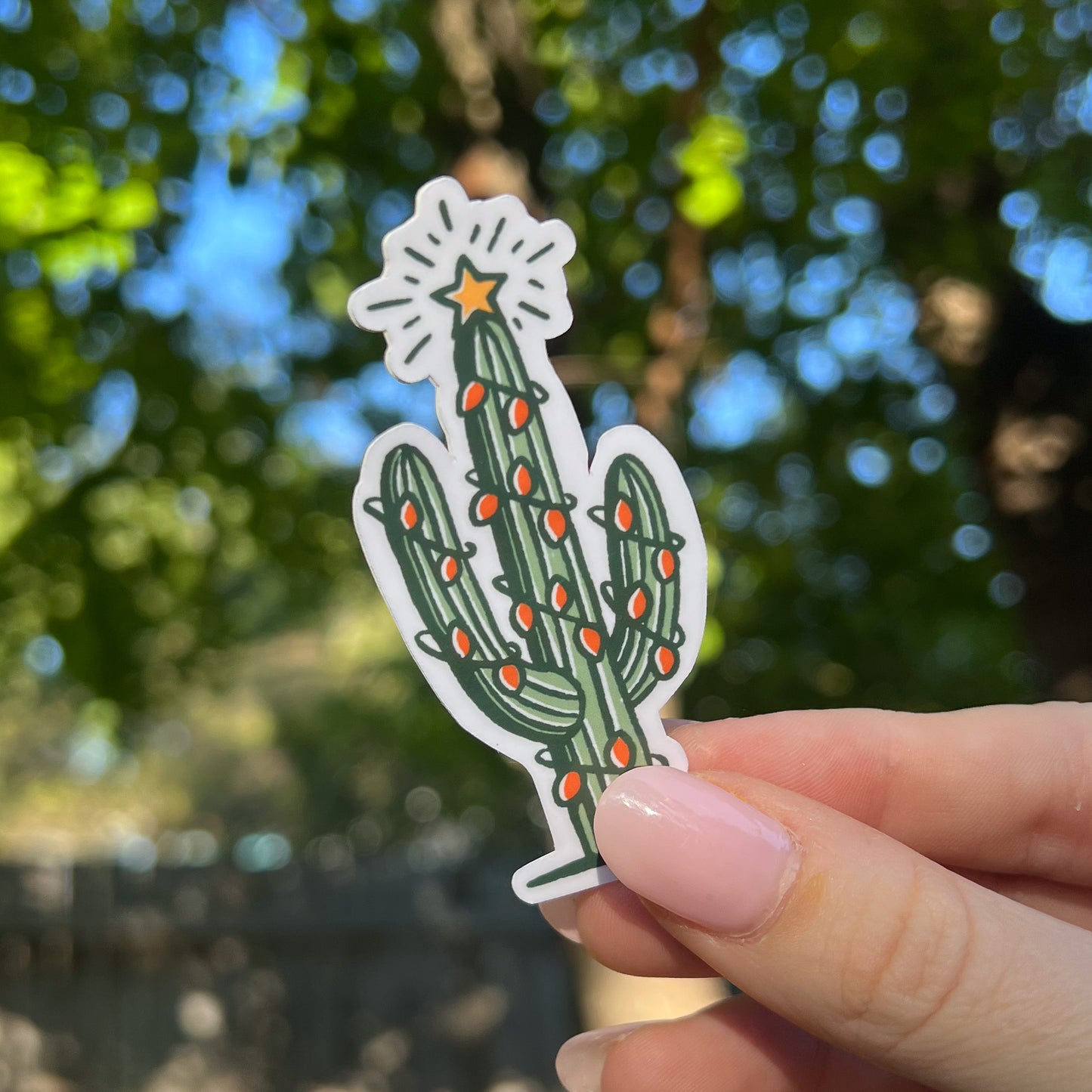 Saguaro Cactus with holiday lights