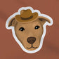 Cowboy Pitbull Sticker