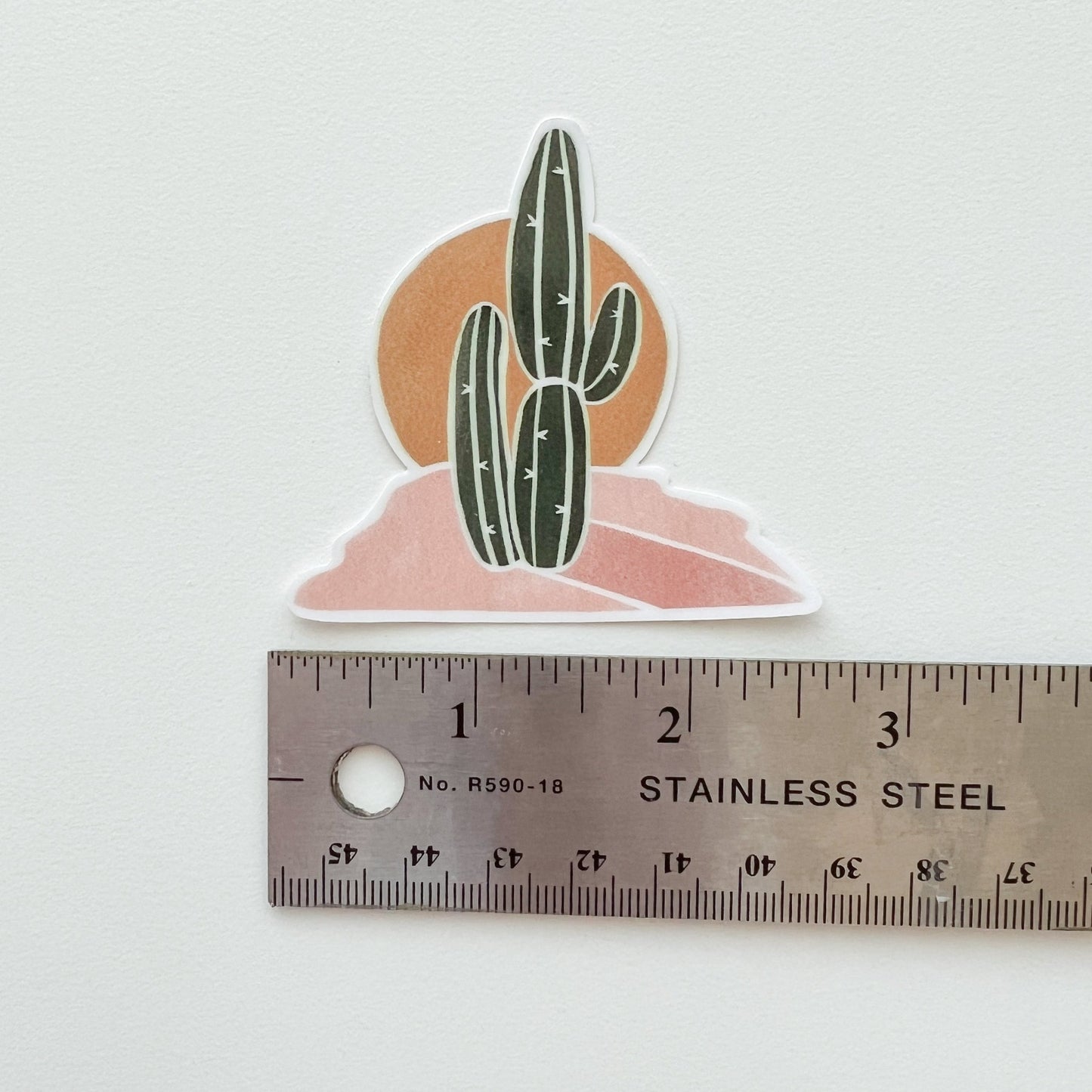 Boho Cactus Sticker Horizontal Measurements