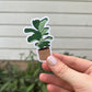 Sticker of a Fiddle Leaf Fig in a boho rattan pot.