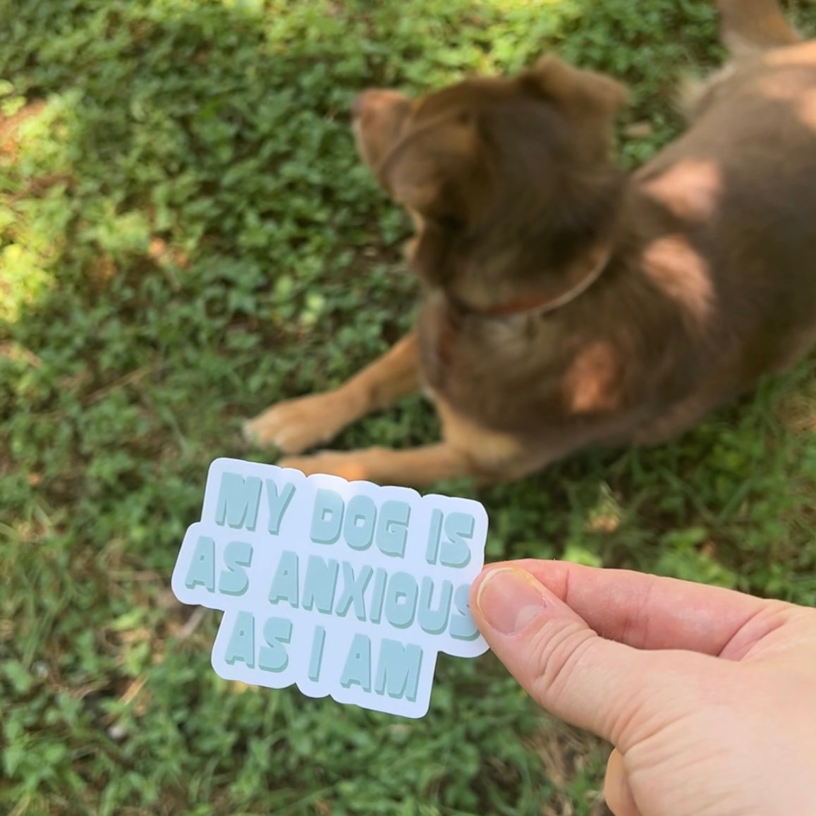 Sticker saying "My Dog is As Anxious as I am" next to a small brown dog