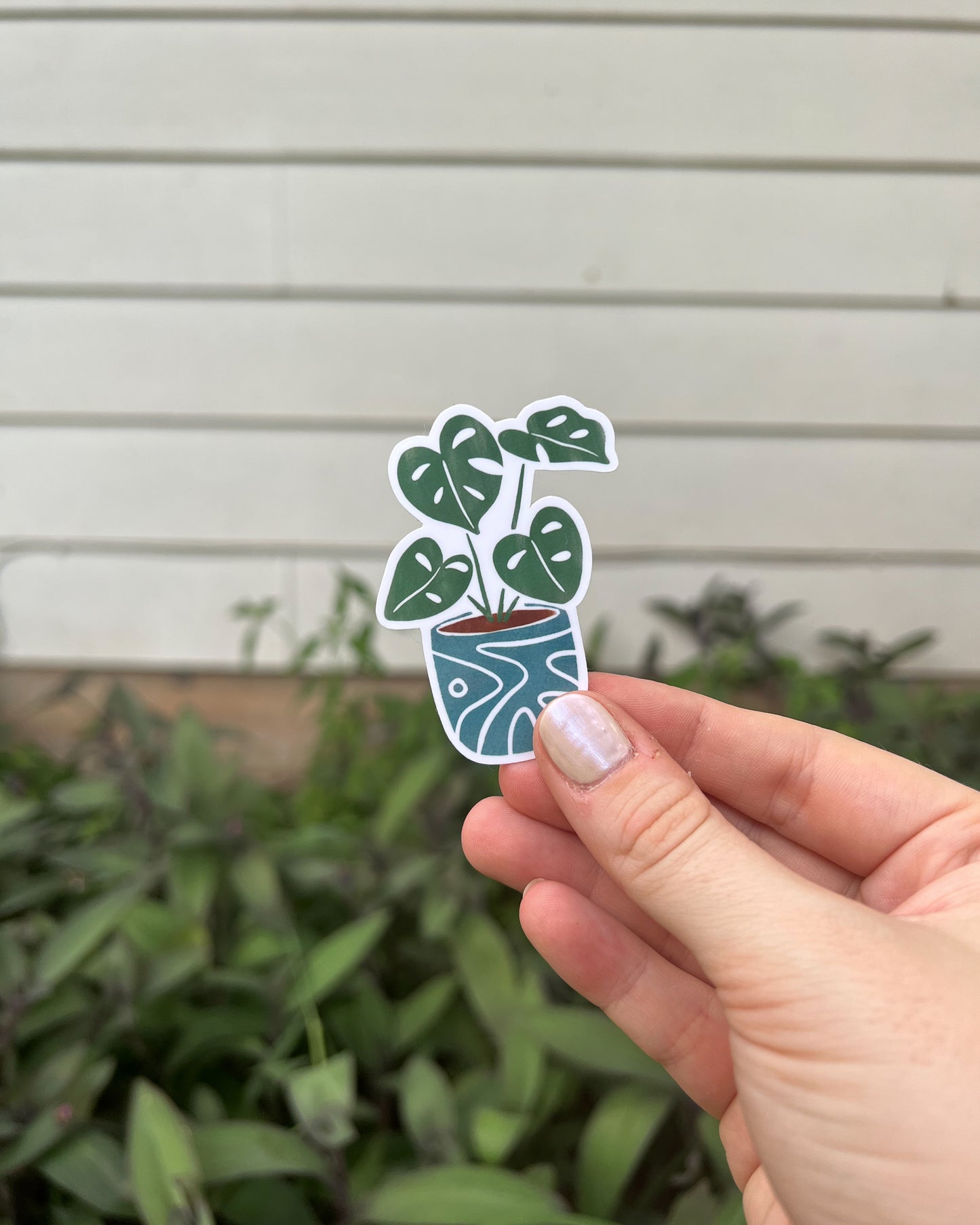 Plant Sticker Set, Crazy Plant Lady Gift, Cactus Sticker, Plant Person  Sticker, Monstera Sticker, Hand Drawn Stickers, Water Bottle Decal 