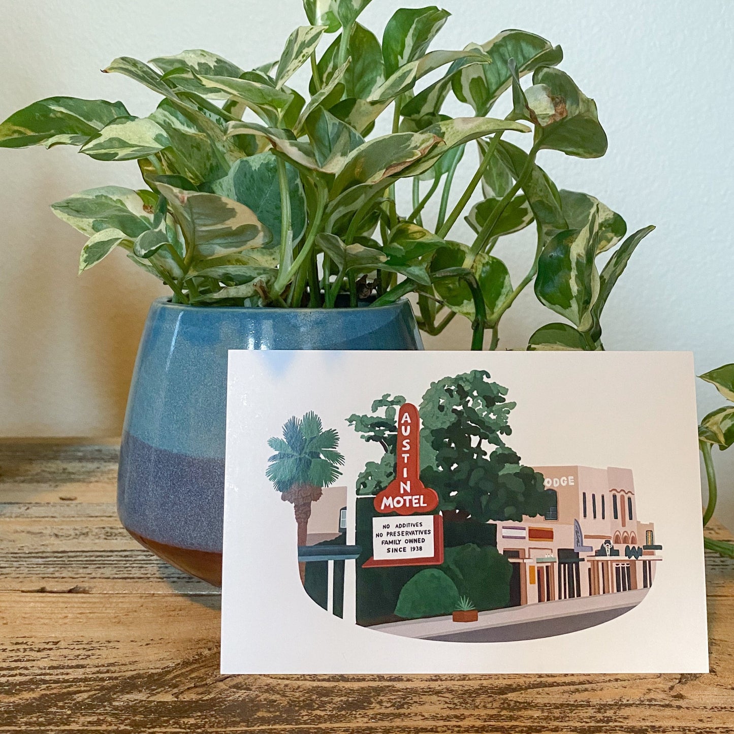 South Congress Postcard leaning against a potted plant.