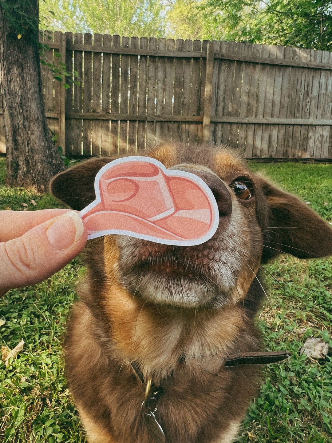 Pink Cowboy Hat Sticker with cute dog.