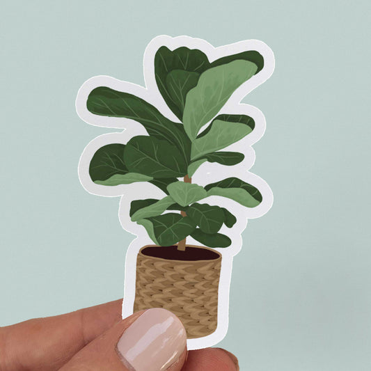 Fiddle Leaf Fig Sticker on blue background